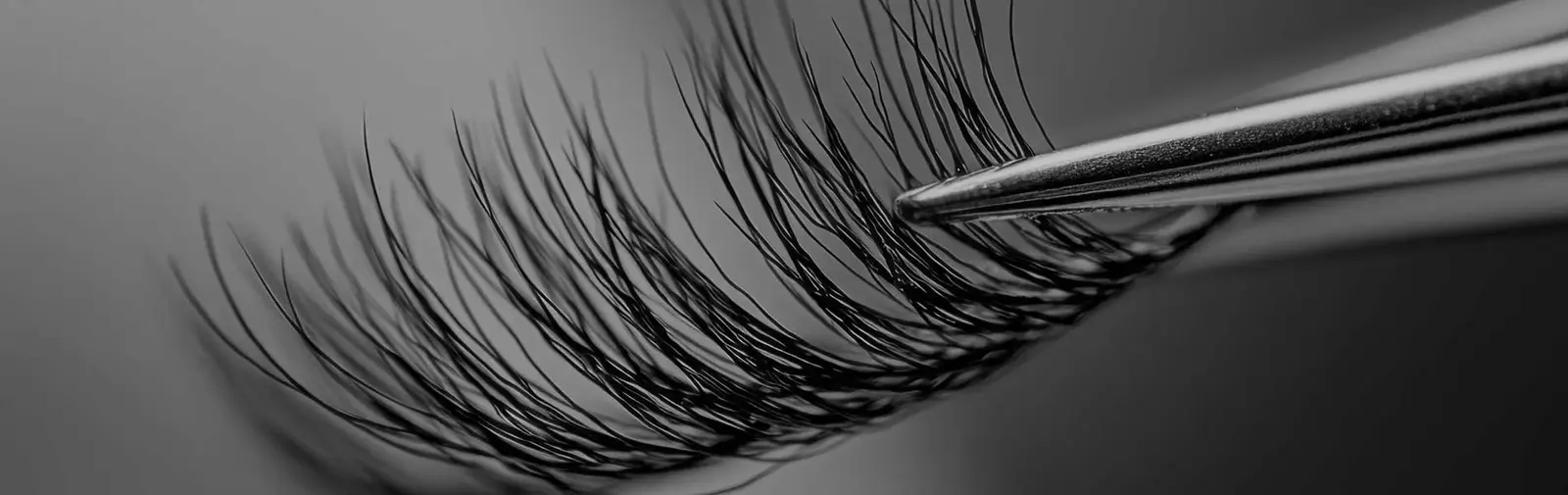 Handmade eyelash extension fan held by tweezers, macro view
